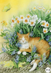 Postkaarten Inge look kabouters Archieven - nuala art